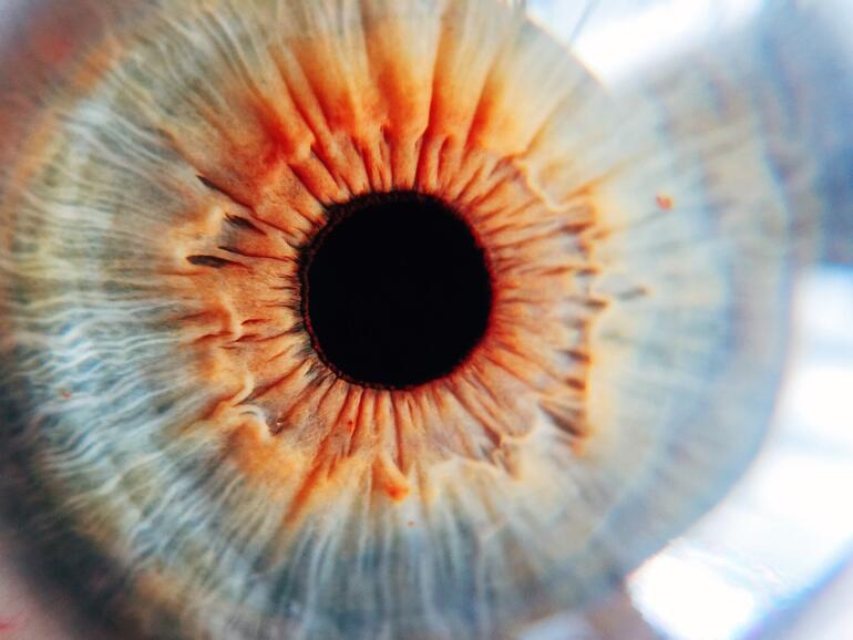 Foto mit der Moment Macro Lens