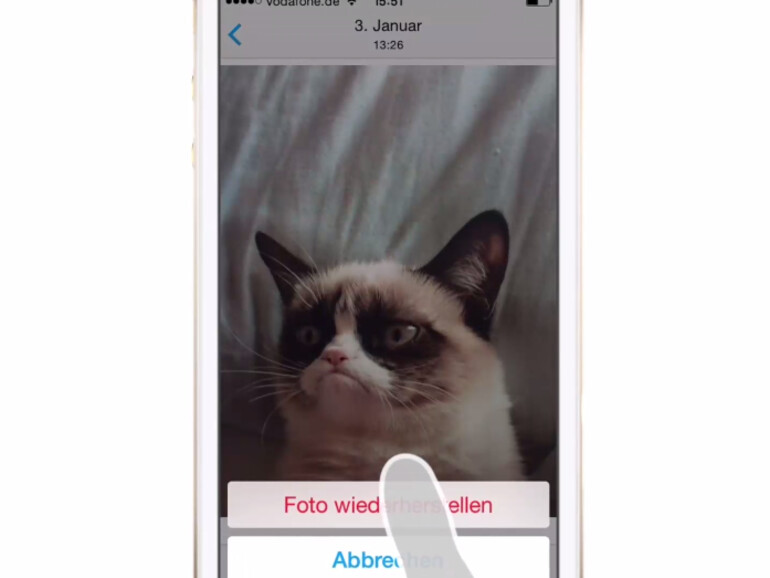 Sie können gelöschte Fotos auf Ihrem iPhone wiederherstellen