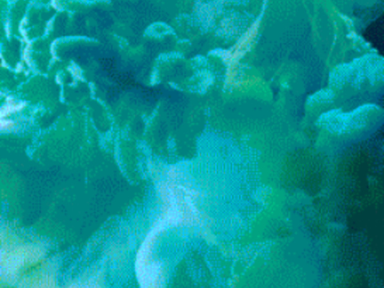 Ios 9 Die 6 Coolsten Live Foto Wallpaper Fur Das Iphone Mac Life