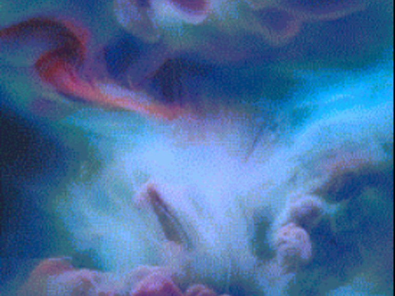 Ios 9 Die 6 Coolsten Live Foto Wallpaper Fur Das Iphone Mac Life Wir zeigen euch, wie ihr ein bewegtes hintergrundbild (gif) an eurem iphone lockscreen wie ihr vielleicht wisst, könnt ihr live photos auch als hintergrundbild am lockscreen verwenden. ios 9 die 6 coolsten live foto