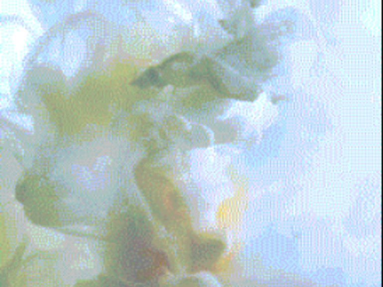 Ios 9 Die 6 Coolsten Live Foto Wallpaper Fur Das Iphone Mac Life