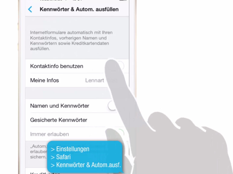 Safari kann Ihre Passwörter verwalten