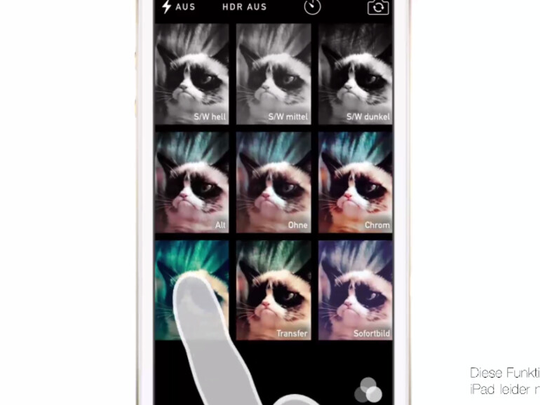 Die iPhone-Kamera eignet sich hervorragend für Schnappschüsse