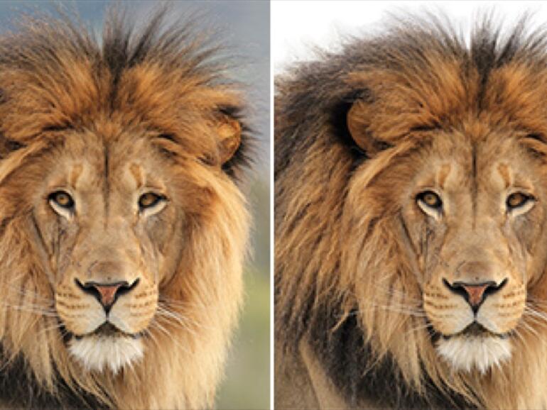 Photoshop Elements 14