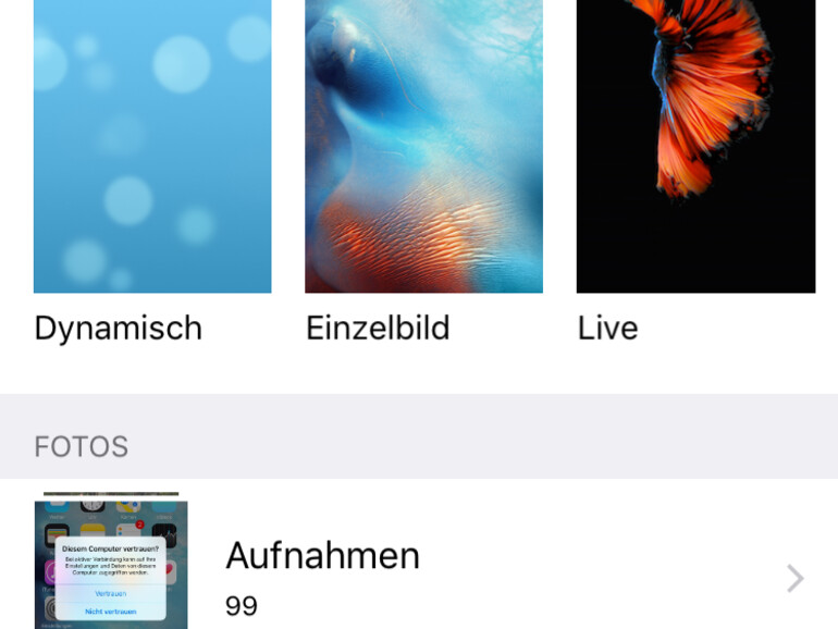 Das iPhone 6s erlaubt als Hintergrund für Homescreen und Sperrbildschirm auch Live-Bilder.
