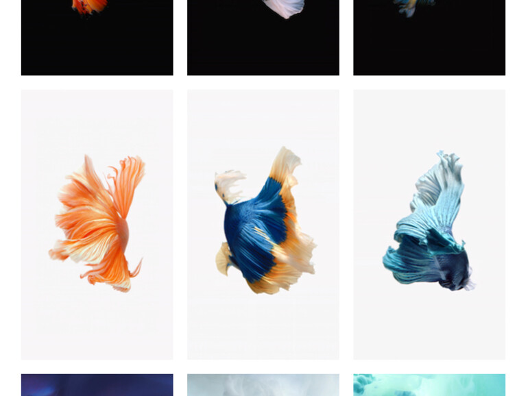 Apple gibt iOS 9 auf dem iPhone 6s neun neue Live-Bilder für den Hintergrund mit auf den Weg.