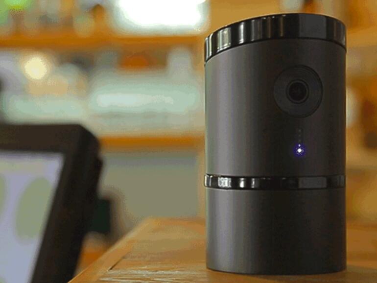 Angee erinnert ein wenig an eine Dose