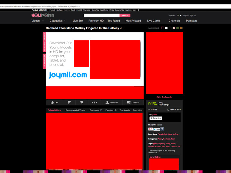 Der rot zensierte YouPorn-Bildschirm im Diablo-Ladevorgang