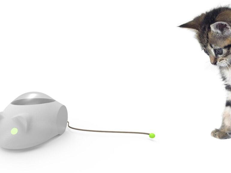 Mousr: Die „Roboter-Maus“ wird per App gesteuert, kann aber auch automatisiert auf die Katze reagieren.