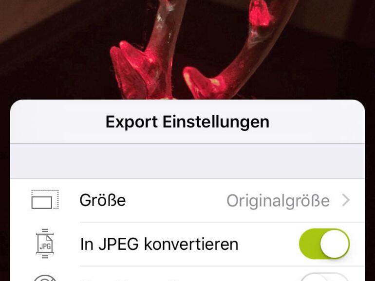 Beim Exportieren lassen sich Bilder verkleinern und umrechnen, um Platz zu sparen.