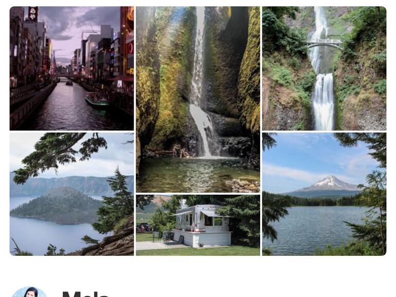 Pinterest bietet im Suchbereich Kategorien mit interessanten Nutzern und Pins. So ist es leicht, den eigenen Start-Feed mit interessanten Pins zu füllen.