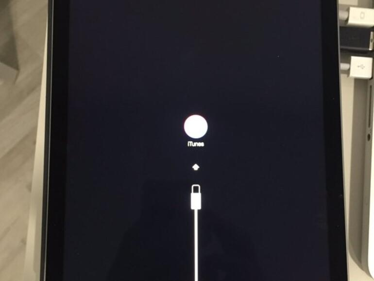 Defektes iPad Pro 9,7 Zoll