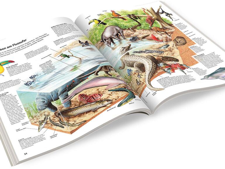 ... und informativen Illustrationen