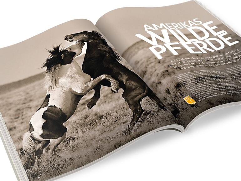 &quot;Wunder der Tierwelt&quot; begeistert nicht nur mit tollen Fotografien...