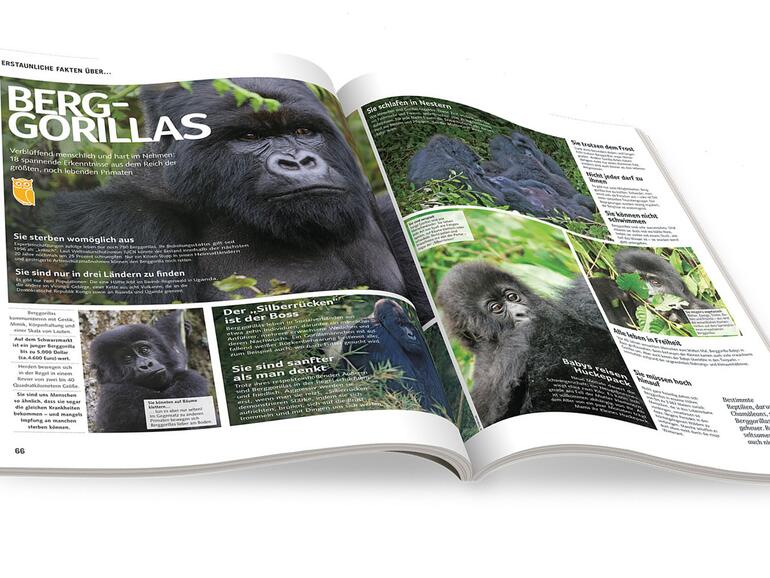 Das Magazin ist ist auch mit dem TING-Hörstift kompatibel