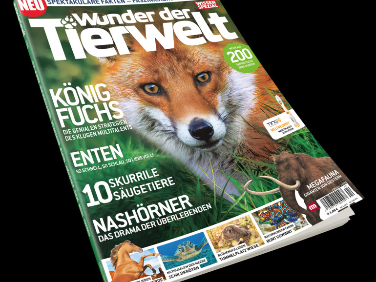 &quot;Wunder der Tierwelt&quot; ist ab sofort im Handel