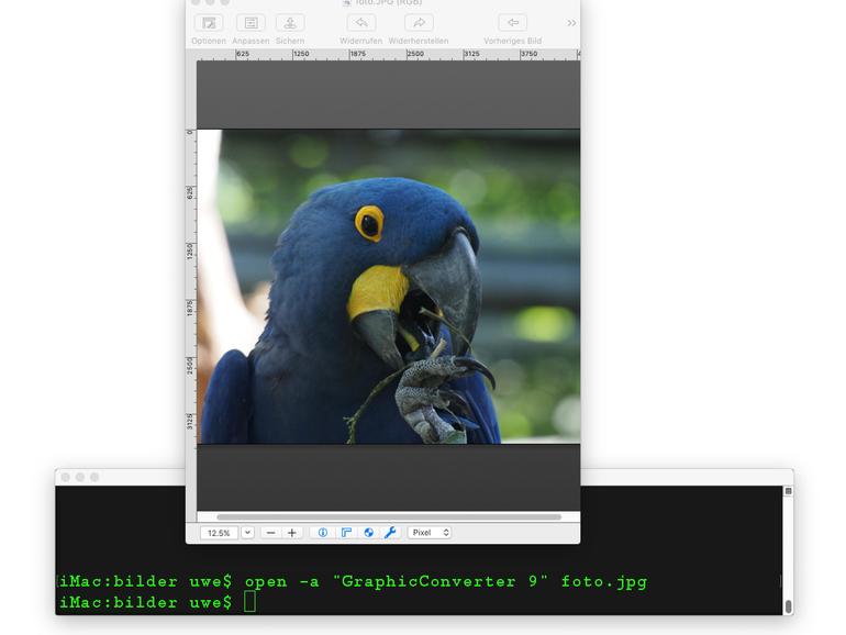 Dateien lassen sich mit beliebigen – kompatiblen – Programmen in der Kommandozeile öffnen.