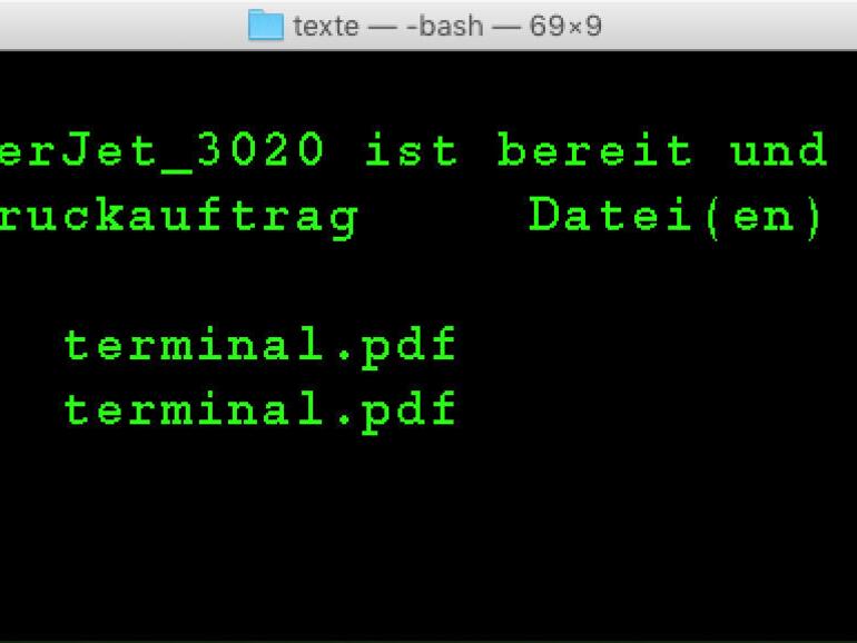 lpq zeigt die Druckerwarteschlange an.