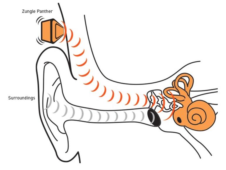 Zungle Panther Funktionsprinzip Knochenleitung