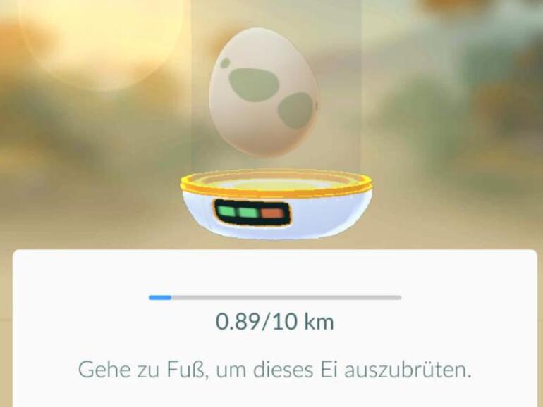 Screenshot zeigt was beim Ausbrüten von Pokémon-Eiern gefordert ist