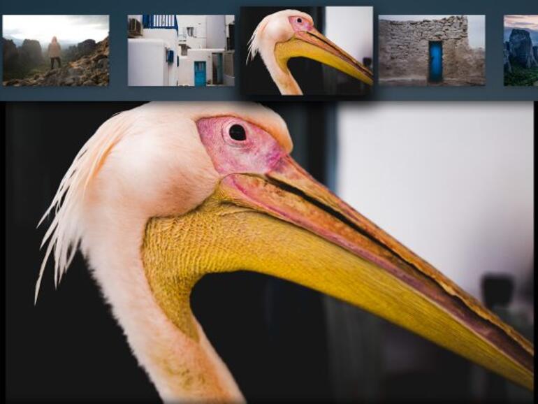 Adobe Lightroom auf dem Apple TV