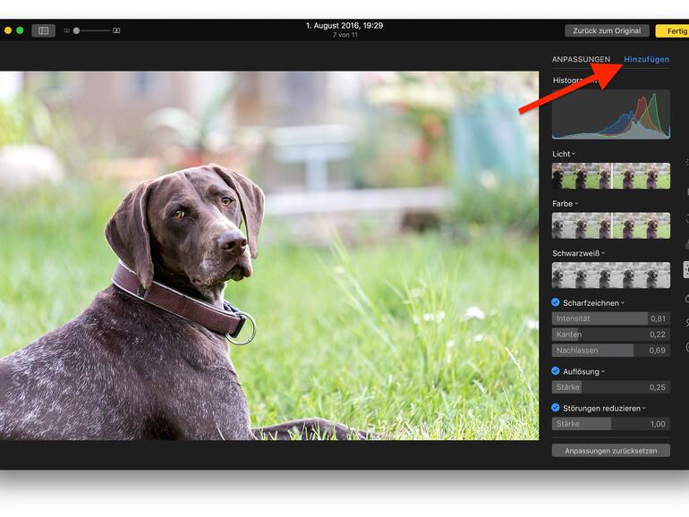Über „Hinzufügen" können die Anpassungen aktiviert werden