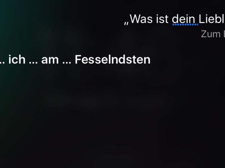Pokémon Go und Siri