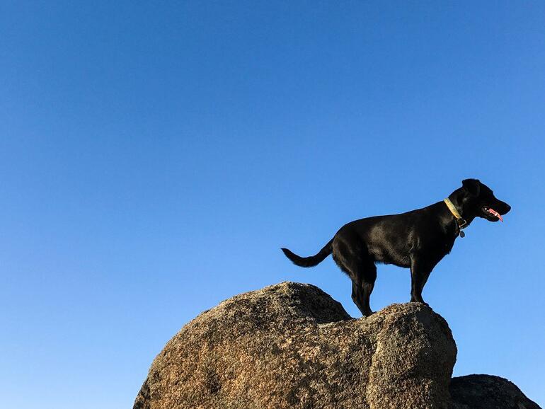 Aufgenommen mit dem iPhone 7 Plus