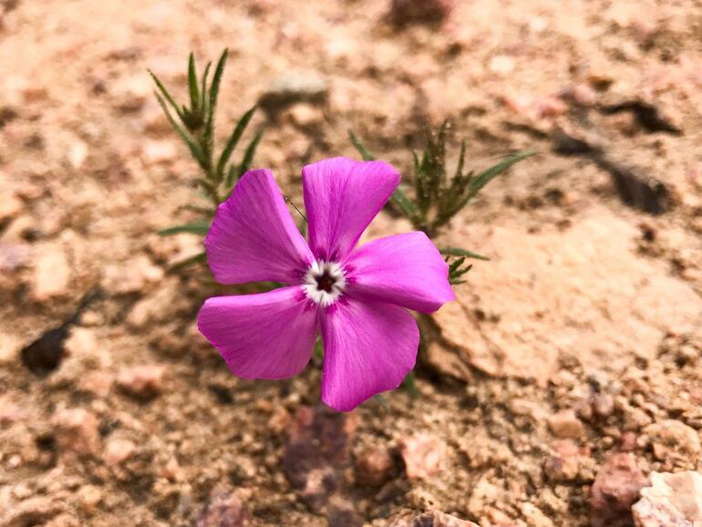 Aufgenommen mit dem iPhone 7 Plus