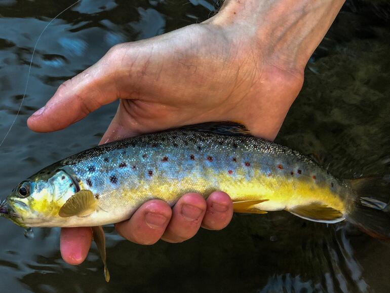 Aufgenommen mit dem iPhone 7 Plus