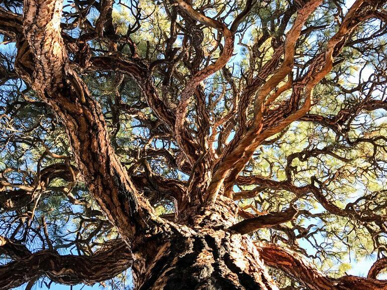 Aufgenommen mit dem iPhone 7 Plus