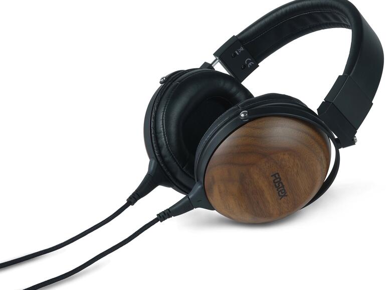 Fostex TH610