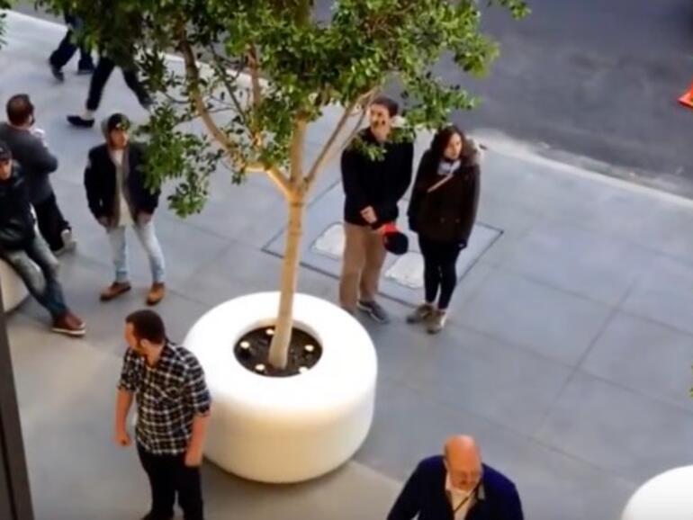 Pflanzkübel im Apple Store von San Francisco