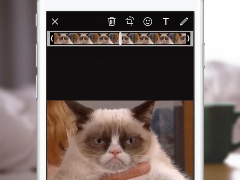 Bisher muss man GIFs in der Fotogalerie auswählen