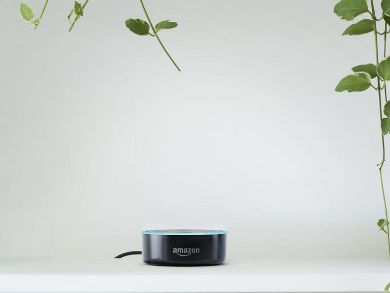 Amazon Echo Dot im Bücherregal