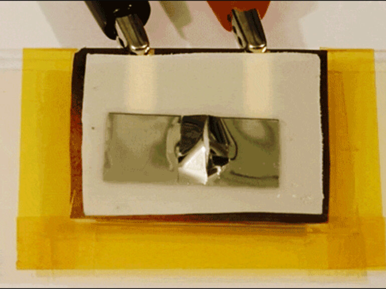 Selbstzerstörungsplättchen