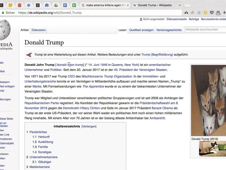 Make America Kittens Again