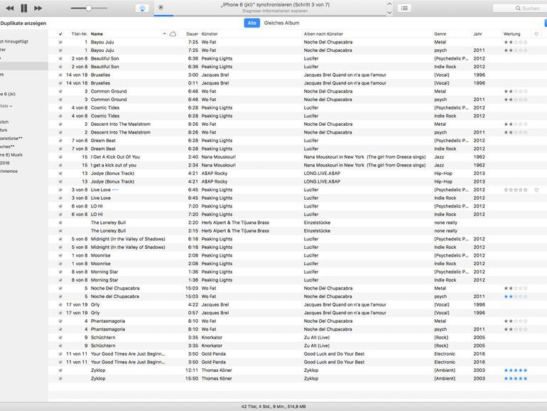 iTunes-Bordmittel ermöglichen die Anzeige von doppelt vorhandenen Mediendateien.