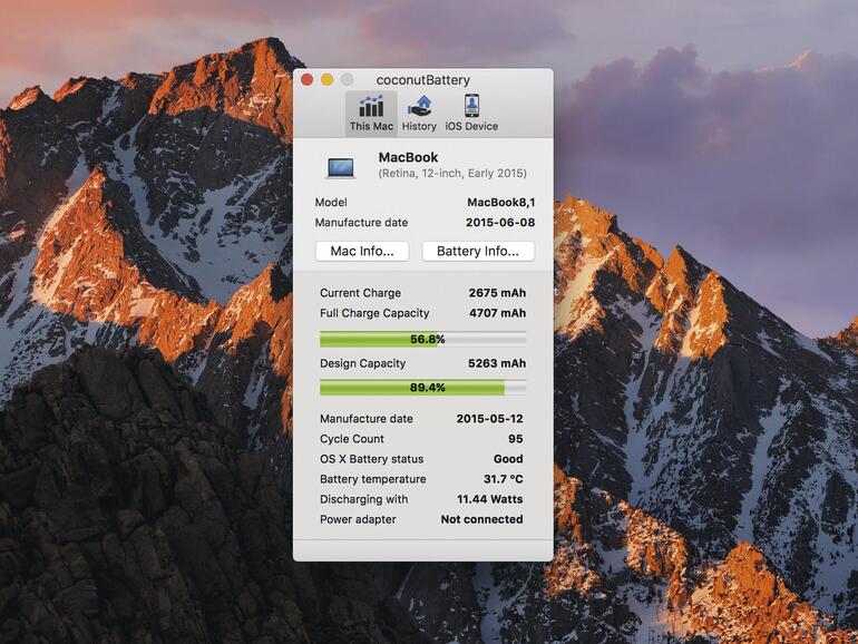 Screenshot zeigt Coconut Battery
