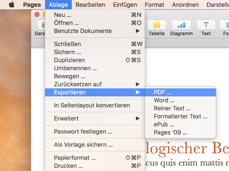 So funktioniert der Export als PDF
