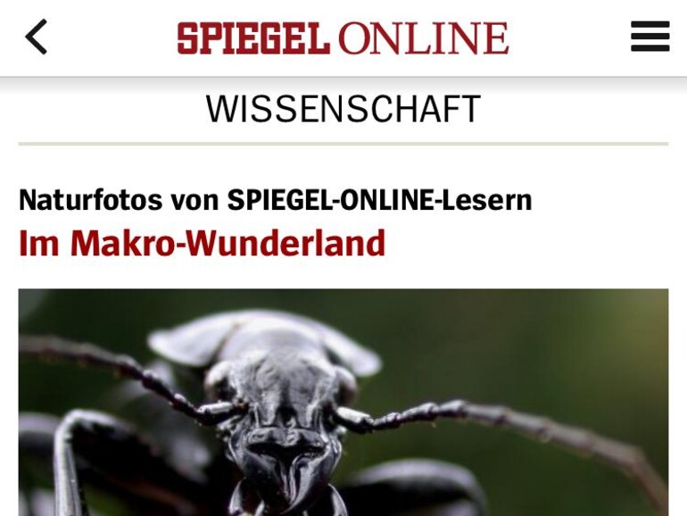 Screenshot aus der Spiegel-Online-App