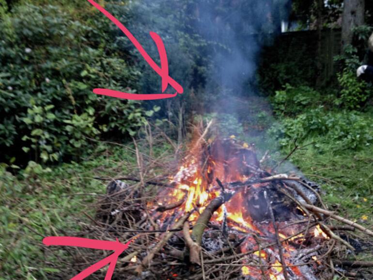 Foto am iPhone und iPad bearbeiten So geht‘s! Mac Life