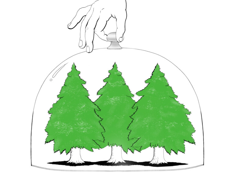 Apple sorgt für verantwortungsvollen Umgang mit natürlichen Ressourcen