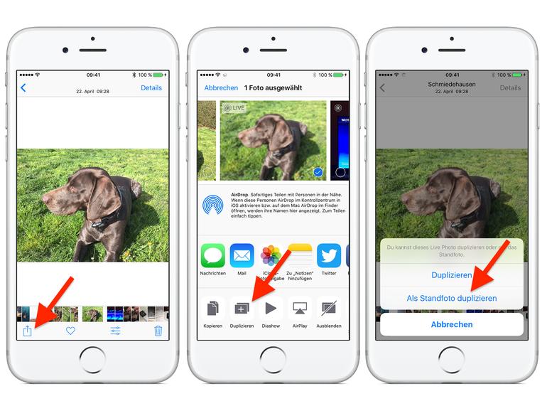 Live Photos in normale Fotos umwandeln - so geht's | Mac Life