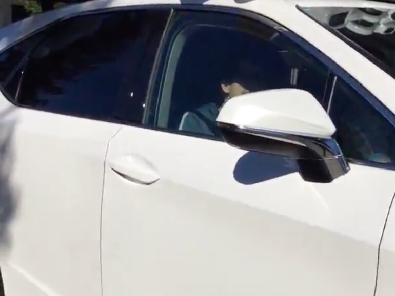 Apples neues autonom fahrendes Auto