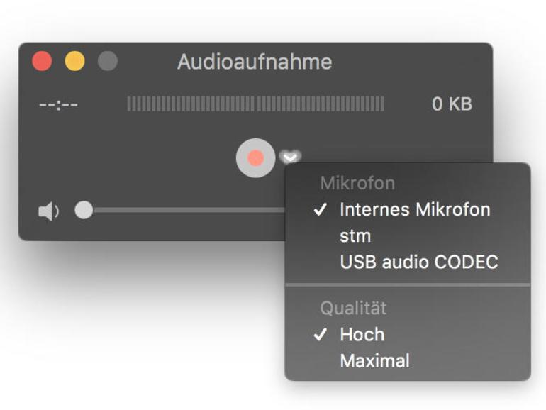 Für die Audioaufnahme können Sie verschiedene Quellen wählen.