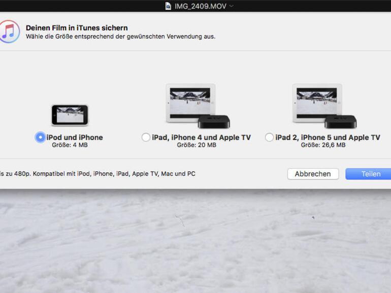Beim Export des Videos können Sie ein Zielformat wählen. Apple hilft Ihnen, indem passende Geräte angezeigt werden.
