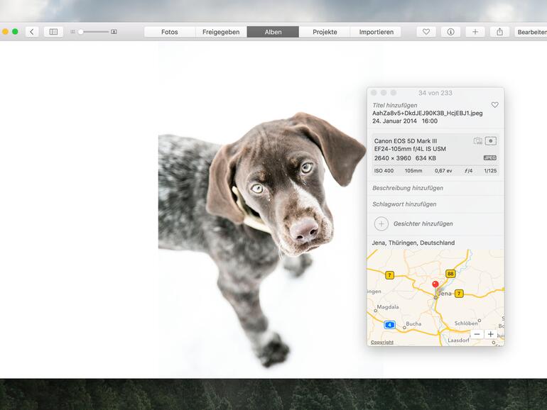 Die Standortdaten werden dann auf einer Karte angezeigt