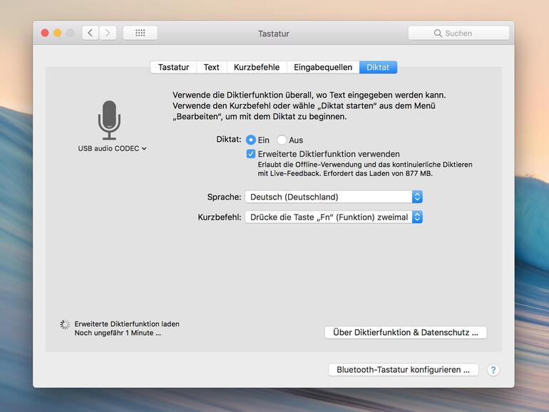 Offline-Diktat einrichten