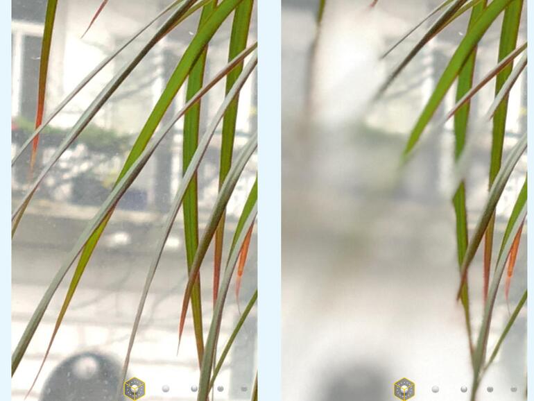 4) So gut der Porträtmodus auf den ersten Blick oft wirkt, so viele Fehler macht er aber auch. Bei komplexen Gegenständen hat das iPhone Schwierigkeiten, Vorder- und Hintergrund auseinanderzuhalten. Bei Sachaufnahmen muss man das Bild sorgfältig kontrollieren und den Porträtmodus eventuell ganz abschalten.